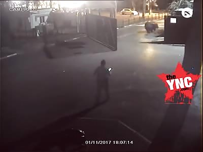 Hippopotamus tried to escaped from a zoo in Israel 