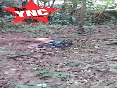 a dead body was found in the Laos Rainforest