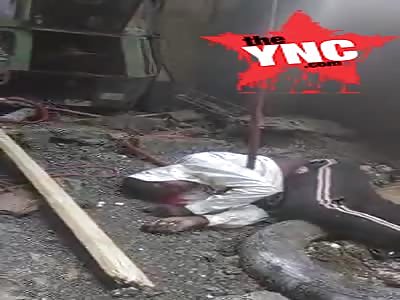 Haitians are killed at work in Dominican Republic  