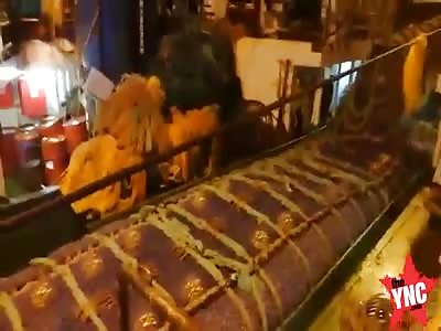 accident on a Russian fishing boat a large seal ends up inside the net then on to the boat