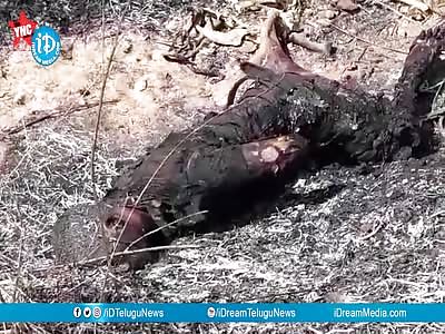 Love affair led to murder at Mandapalli in Rangareddy district.