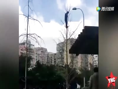 suicidal  thoughts on top of a tree