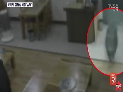 dinner escapes at a restaurant in south korea 