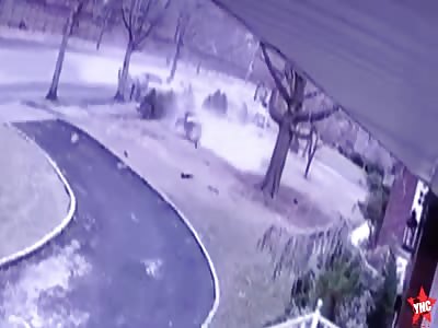 Car Split In Half After Crashing Into Tree in Staten Island 