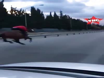  jockey on a horse gets hit by a pole in italy @0:40