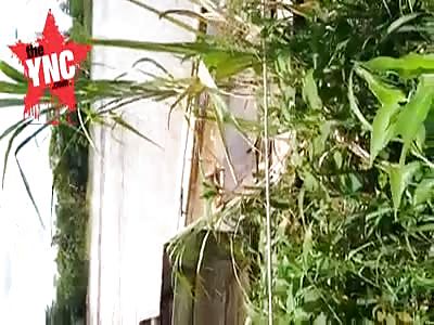 villagers find a body in Tanjungraja 