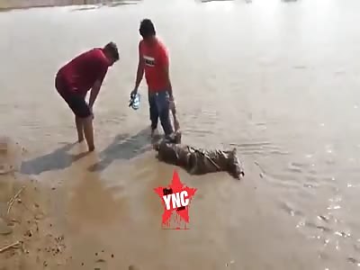 Body discovery  in Cambodia 