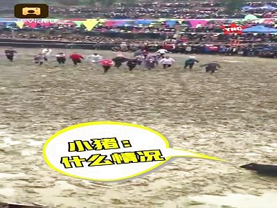 a very strange Chinese  pig contest