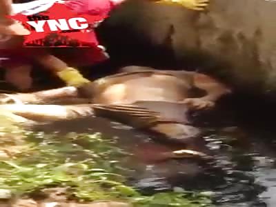 Body discovery  on the northern binjai lotus road 