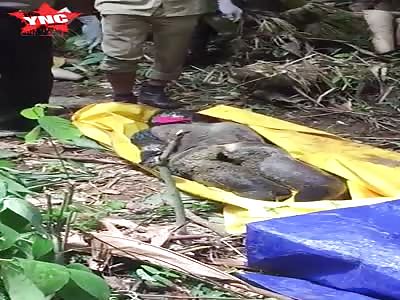 youth hanged him self by tree in  Cilograng