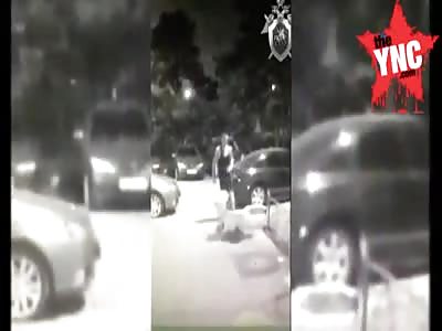 A drunken russian, for no reason, punched a 70-year-old woman in the face