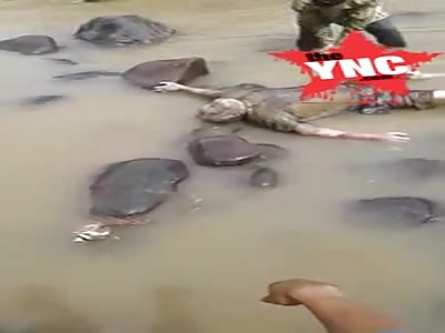 Body discovery   in North Maluku