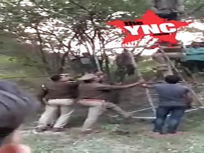 youth committed suicide in TelibaghLucknow, Uttar Pradesh