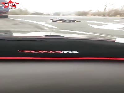 he should of stop his car and took more footage 