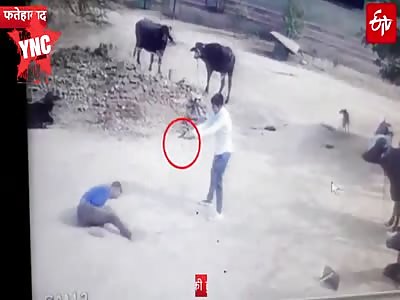 A 15-year-old teenager shot dead in village Kanhdi of Fatehabad