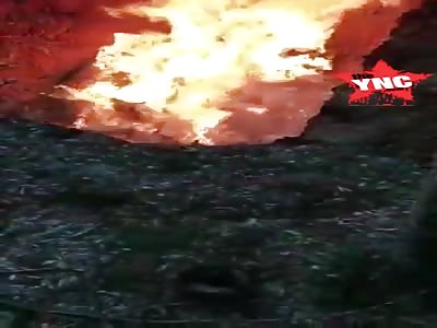 more new pig Chinese  genocide footage #1