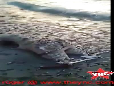 unrecognizable dead female found in Palu