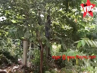 hanging man in Cambodia