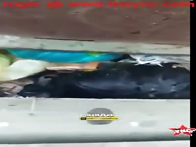 the discovery of a dead body found in a rubbish truck in Novosibirsk