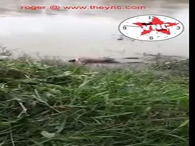 Body Discovery in West Java