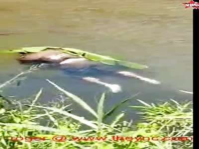 Rudy Sukamto, was found dead floating in East Java.