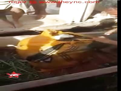 the Discovery of a dead woman in a potato sack in iraq