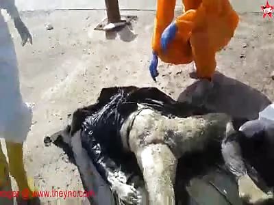 fisherman discover a headless decomposed dead body in Lampung