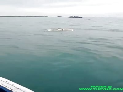 Fishermen discover a headless body floating in the sea in Bangka Belitung Islands