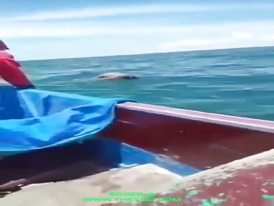 Fishermen discover a body floating in the sea of Jaya