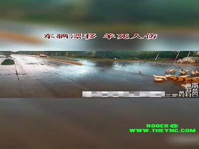 Minivan crashed into a shepherd with her sheep in Yunnan