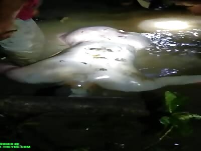 Body of fisherman turns white after death in West java