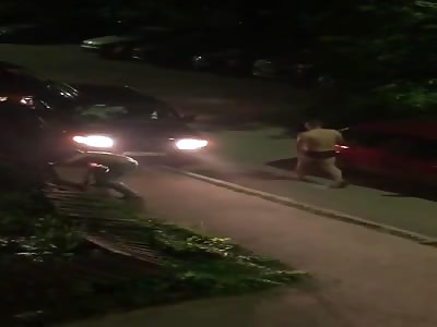 Neighborhood's fight (another angle)