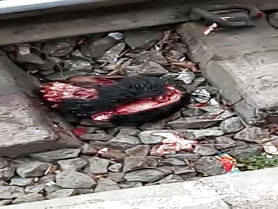 Suicide Man Railway Station is Nothing but Pieces Now Very Dangerous 