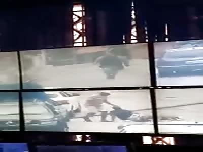 Pitbull Bites the Testicles to a Thief Fleeing the Police