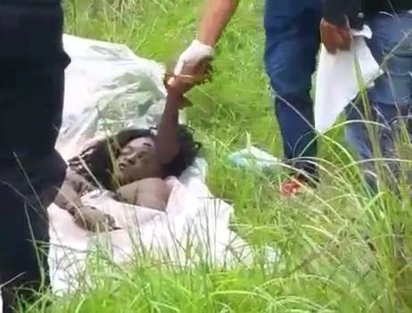 Dismembered Transexual Found