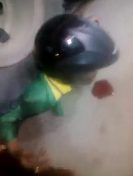 Scooter rider Crushed to death 