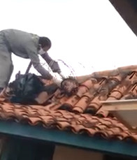 Brazilian Prison Riot [AFTERMATH]