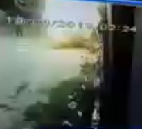 Stupid Man touched High Voltage Electricity Wire and Died Instantly