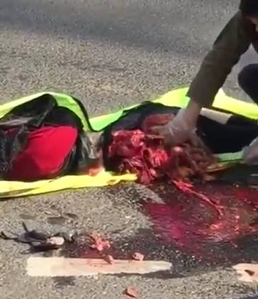 Absolute Pure Carnage at its Goriest....