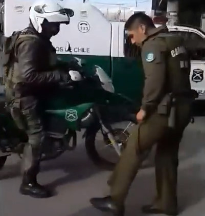 Chilean Police Kill 'aggressive' Dog For Defending his Owner