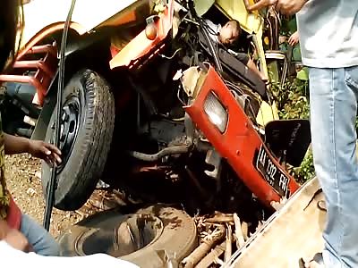 Canned Sardines from India.