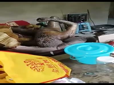 Very Badly Decomposed.