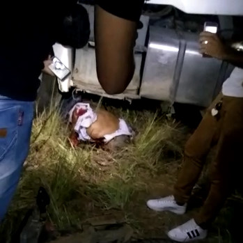 More Crushed Sardines from Brazil. 