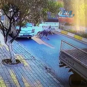 Man Opens Truck Door and Causes Fatal Accident[Killed Instantly]