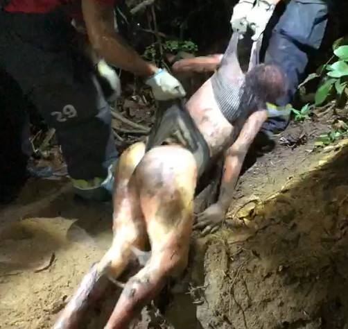 Brazilian Police Arrest Killer of Two Teen Girls and Recover Two Corpses Buried