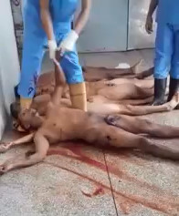 Venezuela prison riot...