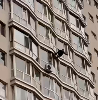 Splat Suicide from Apartment Window ..Slow Motion Added