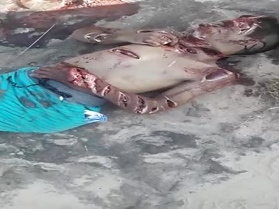 Young Hacked to Death by Rival Gang 