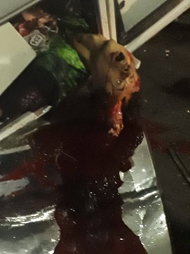 Brazil...Fucking Awesome Way to Die