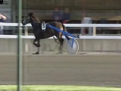 Distressed Racehorse Impales Itself On Boom Gate